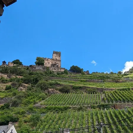 Apartmán Rheinsteig-ferienwohnungen 5 *