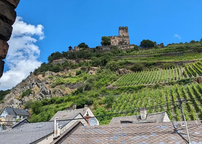 Rheinsteig-ferienwohnungen 5 * Kaub