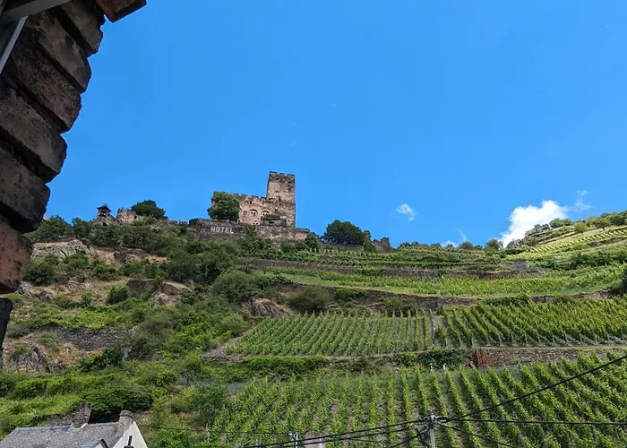 Apartament Rheinsteig-ferienwohnungen 5 *